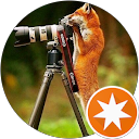 Fox GAG profile picture